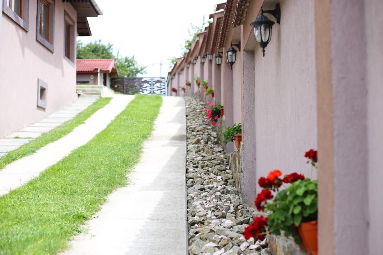 Casa Darius Villa โนวาชิ-สเตรยนี ภายนอก รูปภาพ